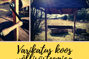 Varikatus koos võllisüsteemiga.png