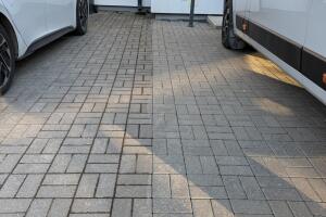 IMG_8173.jpeg