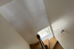 IMG_6456.jpeg