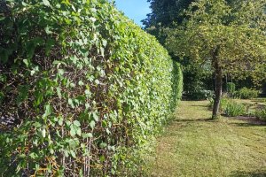 WhatsApp Image 2024-07-19 at 16.32.21_1fb7023b.jpg