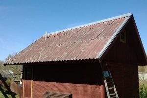 välgita 2 enne pesemist (2).jpg