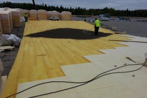 vill kergkruus katusekalded.jpg