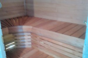 IMG_20210304_121120 (1).jpg