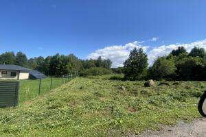 IMG_7013.jpeg