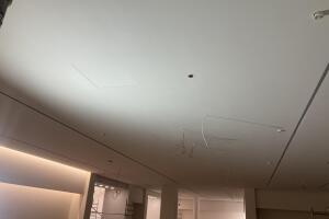 IMG_2101.jpeg