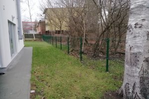 kauri telefoni pildid 341.jpg