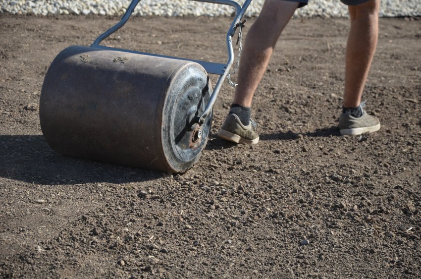 muru rajamine, muru külvamine, muruplats, murukate