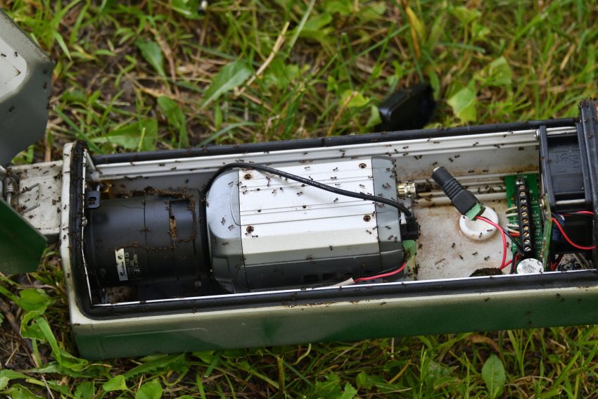 sipelgapesa, sipelgatest vabanemine, sipelgatõrje, sipelgate tõrje, sipelgate eemaldamine, kuidas vabaneda sipelgatest