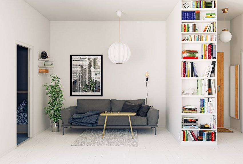 vahesein raamaturiiul, raamaturiiul, mööbli kokkupanek, eritellimusmööbel, raamaturiiulid, erimööbel, raamatute paigutamine kodus, kuhu panna raamatud