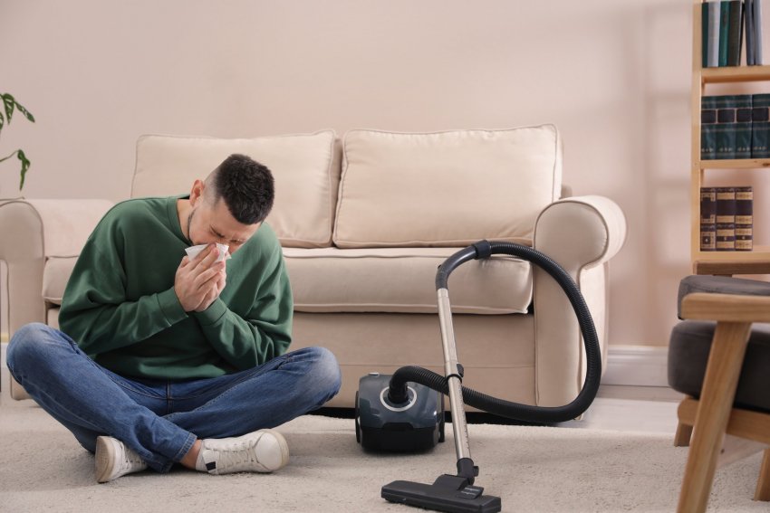 allergeenid kodus, tolm, allergia, allergik, kodused allergia tekitajad, allergeenide eemaldamine, kodu koristus, puhastusteenused