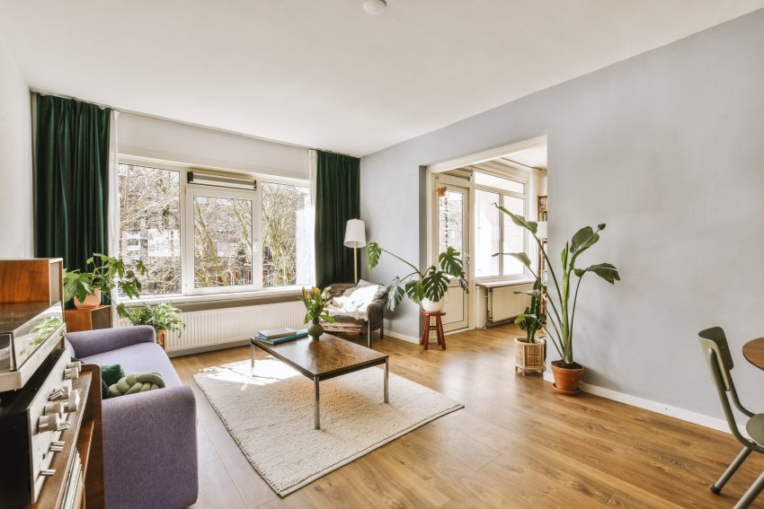 taimed, taimed kodus, hubane, rohelus, sisekujundus, nipid, hubane kodu