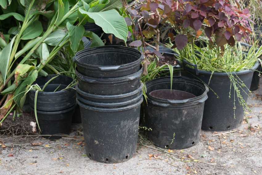 istutuspottide hoiustamine, pottide puhastamine, plastikust istutuspotid