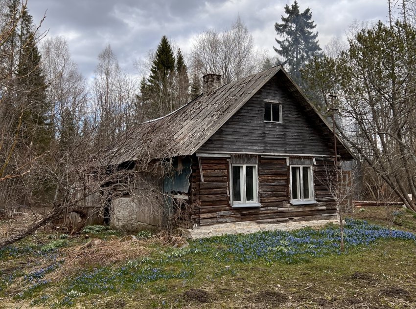 lammutustööd, talumaja lammutamine, maja lammutamine, lammutajad