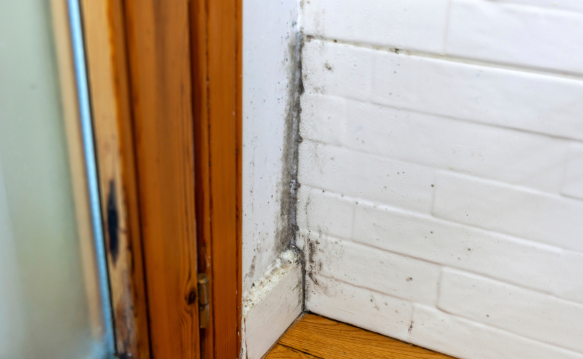 ehituspraak, ehitusvead, kuidas tuvastada ehitusvigu, ehituspraagi tunnused, niiskusprobleemid majas, ehitusvea vastutus, halb ventilatsioon kodus, ehitusgarantii probleemid