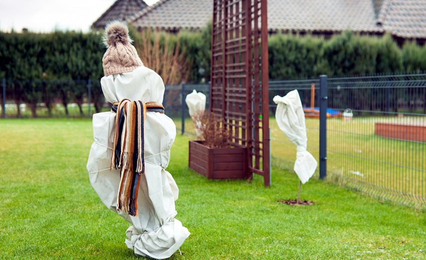 aiahooldus, sügised aiatööd, öökülm, öökülmad, kodu aed, taimed, kaitse öökülma eest, kuidas kaitsta taimi öökülma eest