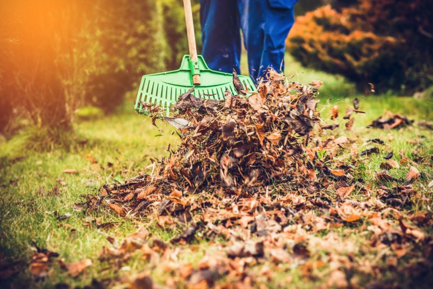 aiatööd, aiahooldus, aia ettevalmistamine talveks, sügisesed aiatööd