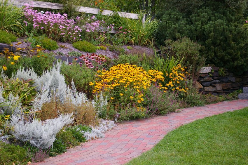 sügislilled, sügis, sügislillede istutamine, öökülm, värvilised lilled, päevlill, kanarbik, sügisese aia rajamine