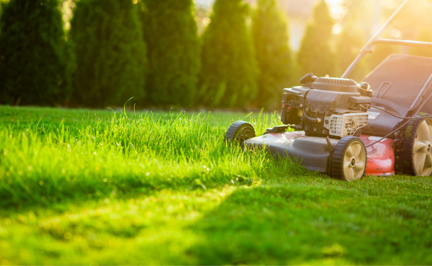 muruniiduk, robotniiduk, murutraktor, akuniiduk, bensiininiiduk, muruniiduki valimine, robotniiduki plussid, muruhooldus, aia tehnika, muruniiduki hooldus, niiduki võrdlus, aiatööde tehnika