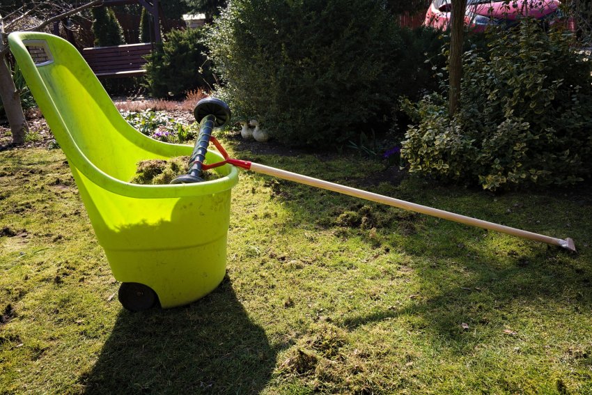 sambla tõrje, sambla eemaldamine, kuidas vabaneda samblast, murutööd, muru hooldamine