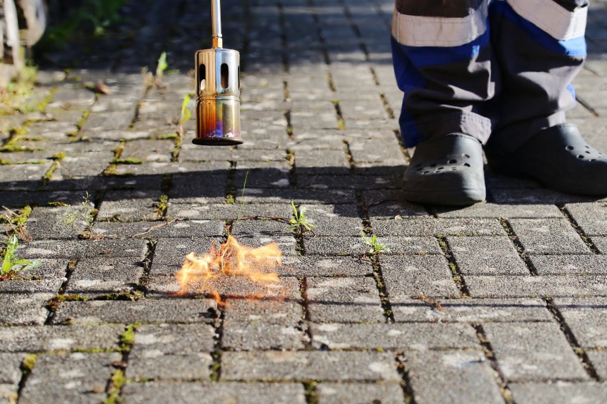 umbrohupõleti, kuumaõhupõhur, umbrohu eemaldamine, umbrohust vabanemine, multšimine, kuidas hävitada umbrohtu, umbrohu hävitamine