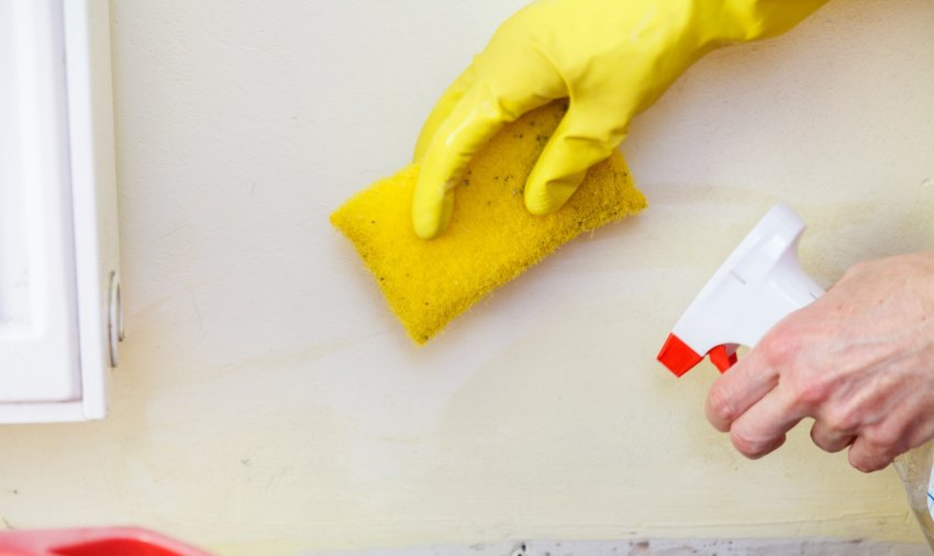 enne värvimist, seina puhastamine, kuidas seina puhastada