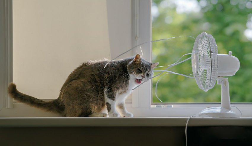 ventilaator, toa jahutamine, avatud aknad, kodu jahutamine, korteri jahutamine, maja jahutamine, kuumalaine, kuumaperiood