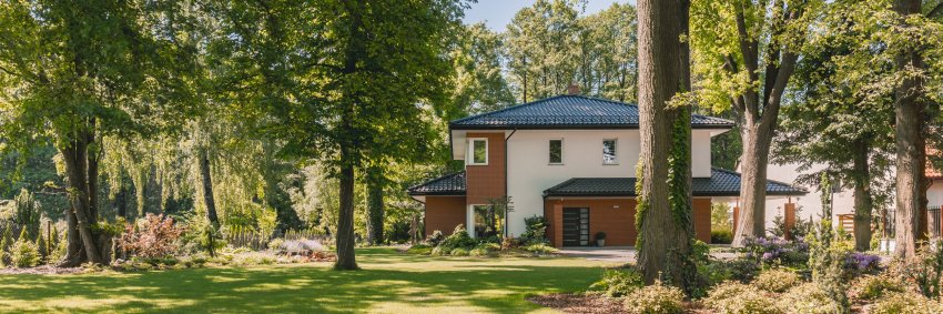 puude istutamine, suured puud, aiapidamise vead, vead aiapidamisel