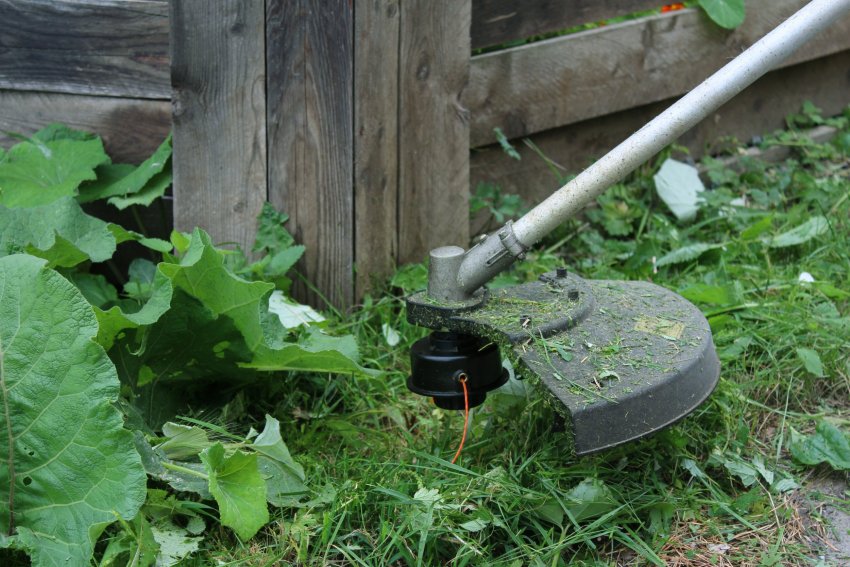 trimmer, trimmeriga niitmine, trimmerdamine