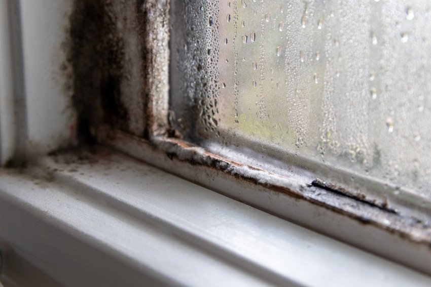 hallitus, hallitus akendel, hallitus aknaraamil, hallituse eemaldamine, hallitus aknapõskedele